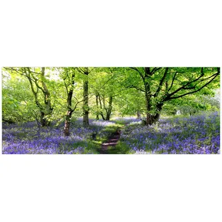 Wallario Glasbild Blaues Hasenglöckchen im Wald - 50 x 125 cm Wandbilder Glas in Premium-Qualität: Brillante Farben, freischwebende Optik