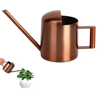 Famanu Mini-Gießkanne aus Edelstahl, 300 ml, mit langem Auslauf für Zimmerpflanzen, Farbe: Bronze