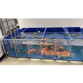 GZHERVICES Faltbarer Fischteich aus Segeltuch mit durchsichtigem Sichtfenster, KOI-Aquarium über dem Boden, Schildkröten-Goldfischteich mit Rahmen und Ablassventil(140x70x60cm)