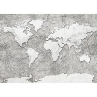KOMAR Vliestapete "World Relief" Tapeten 350x250 cm (Breite x Höhe) Gr. B/L: 350 m x 250 m, Rollen: 1 St., schwarz (schwarz, weiß) Tapeten Betonoptik