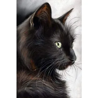 5D Diamond Painting Diamant Malerei Painting Bilder, Wowdecor Fette schwarze Katze Full Set Groß DIY Diamant Gemälde Malen Nach Zahlen