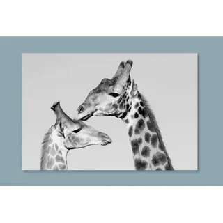 Glasbild, Schwarz, Weiß, Glas, 80x0.4x120 cm, Bilder und Zubehör, Wandbilder, Glasbilder