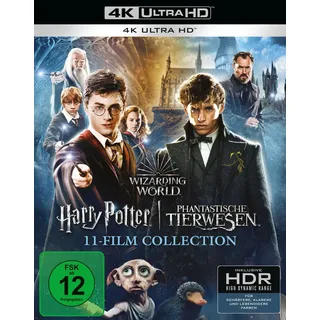 warner bros. (plaion pictures) Wizarding World 11-Film Collection (Harry Potter / Fabelhafte Tierwesen) (4K-UHD) [11 BRs]
