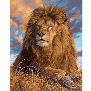 Pracht Creatives Hobby GmbH Diamond Painting Löwe 40 x 30 cm