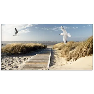 ARTland Wanddeko Glasbilder Wandbild Glas Bild einteilig 100x50 cm Querformat Strand Meer Nordsee Küste Möwen Himmel Steg Natur Landschaft Dünen T9NJ