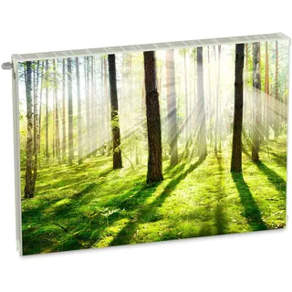 Magnet Heizkörperverkleidung Heizkörperabdeckung Grün Natur 80x60 cm Heizung Abdeckung Verkleidung Magnetische Abdeckmatte Kühlschrank aus Einem Flexiblen Magneten Digitaler Aufdruck
