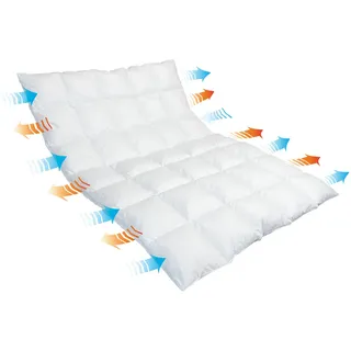 Traumina Breeze Daune Duo-Einziehdecke WK 3 (Größe: 200x200 cm*)