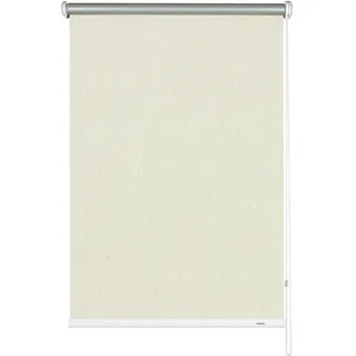GARDINIA Seitenzugrollo Uni-Rollo - Thermo Energiesparend 52 x 180 cm beige/weiß
