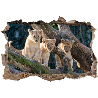 Pixxprint 3D_WD_S1957_62x42 spielende Löwenjunge auf Baum Wanddurchbruch 3D Wandtattoo, Vinyl, bunt, 62 x 42 x 0,02 cm