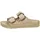 Gray Taupe 40