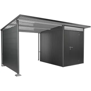 Biohort Seitendach Gr. L für Gerätehaus AvantGarde A2/A6 Dunkelgrau-Metallic