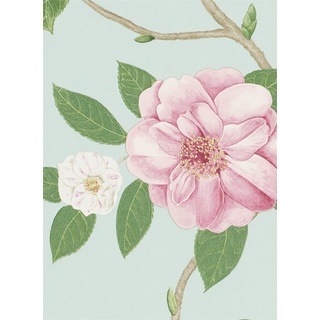 Blumentapete Christabel von Sanderson - Pink/ Sky