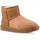 Chestnut 36