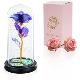 Die Schöne Und Das Biest Rose In Glaskuppel LED-Lichter Kristallrose Blumen Geschenk Zum Geburtstag Jubiläum Valentinstag Hochzeit Freundin Frau Frauen