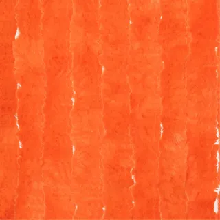 Moritz Flauschvorhang aus Chenille 90 x 200 cm orange Türvorhang als Fliegenschutz Insektenschutz für Camping Wohnwagen