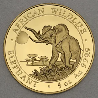 Goldmünze 5oz Elefant 2016 African Wildlife (Somalia)