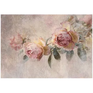 WallArena Fototapete, Blumen Rosen Beige 150x105 cm,