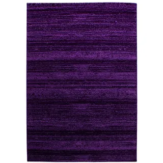 Ayyildiz Plus 8000 Webteppich 160 x 230 cm Lila