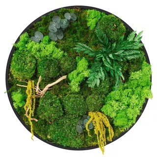 ECD Germany Moosbild Rund Ø 40 cm, Mooswand Indoor echter Kugel-, Island- und Flachmoos-Mix & Ästen, Wanddeko mit Holzrahmen, Wandbild für Haus Büro