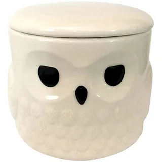 Enesco Harry Potter Hedwig Steingut-Tasse mit Deckel