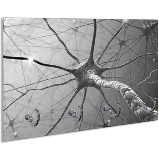 Wallario Schlüsselbrett Menschliche Nervenzelle - schwarz weiß, (inkl. Aufhängeset), 30x20cm, aus ESG-Sicherheitsglas