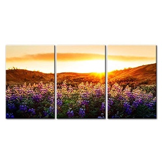 Leinwanddrucke mit Blumen-Landschaft der lila Lavendelfelder der Provence mit Sonnenaufgang und Sonnenschein, 3-teilig, moderne Kunst, Blumenbilder, Fotodrucke