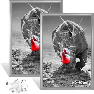 Dmyifan Bilderrahmen 40×60 cm Silber 2er Set | Picture Frame | Fotorahmen für Bilder und Poster, hoch- und quer aufhängbar – modernes für Wohnzimmer, Schlafzimmer, Flur und Büro