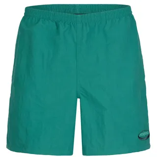 Patagonia Baggies Shorts 95 Oval Logo Gem Green L