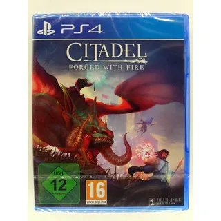 Citadel - Forged with Fire - Rollenspiel, Online- Mehrspieler 2-40 Spieler