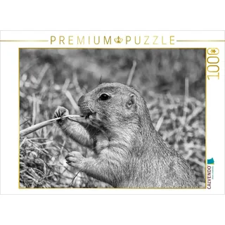 Calvendo Verlag GmbH Präriehund Snack 1000 Teile