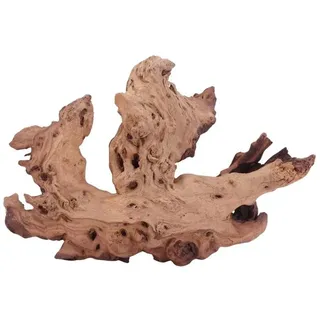 Aquaone Aquarium XL Mopani Wurzel Nr.4692 Holz Deko Aquascaping