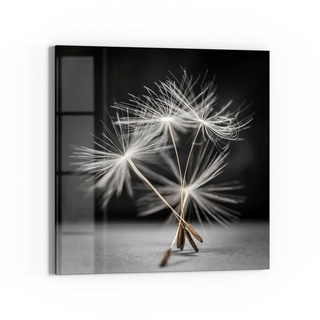 DEQORI Glasbild 'Samen der Pusteblume', 'Samen der Pusteblume', Glas Wandbild Bild schwebend modern grau|schwarz