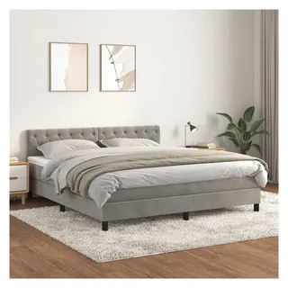 vidaXL Boxspringbett 160 x 200 cm Hellgrau