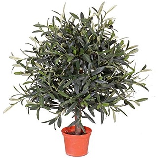 Künstliches Olivenbäumchen 50cm, Durchmesser 35cm, Kunstpflanze mit 1040 Blätter und 18 Oliven - Mini Olivenbaum Oliven Kunstbaum
