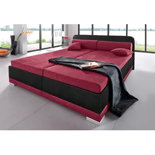 Maintal Polsterbett, inklusive Bettkasten bei Ausführung mit Matratze, bordeau x rot/schwarz, Betten, 43656365-0 Microvelours   Ohne Bettkasten