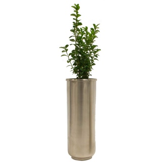 Runde Vase schmal und hoch aus Metall in silber matt von Varia Living | Moderne Oberfläche in Edelstahl-Design verzinnt | für große oder eine Blumen als Blumenvase | ideal für eine Rose (Ø 9 cm / H 25 cm)