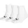 Kids Quarter Socks 3 pack 31-34