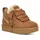 Chestnut 42