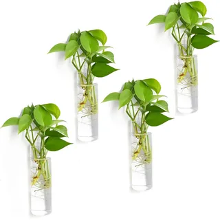 Vumdua Glas-Pflanzgefäße, transparent, 15 x 4,7 cm (HxD), geeignet für die meisten Wasserpflanzen, perfekt für Anzuchtstation, einfach Montage, elegant und funktional, 4 Stück
