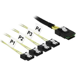 DeLock 85731 1 m Mini SAS SFF-8087 (100 cm, Mini-SAS), Interne Kabel (PC)