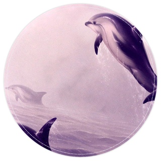 EZIOLY Grauer Delfin springt aus dem Wasser, rutschfest, waschbar, rund, Badematte, Bodenmatte für Wohnzimmer, Schlafzimmer, Küche, Baby-Spielzimmer, 40 x 40 cm