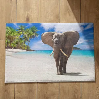 Isdreem Abtreter Fußmatte Innen Mit Motiv Fussmatten Haustür Aussen Elefant Fußmatte Personalisiert Familie Fussmatte Innen Waschbar, 40x60cm