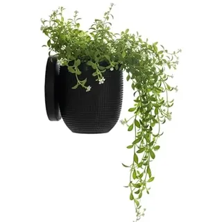 Tims Plum Kleiner Wand-Pflanztopf im modernen Design - Schwarzer Wandtopf abnehmbar für Sukkulenten & Kräuter, 3D-Druck aus PLA, inklusive Halterung & Auffangschale, Schwarz