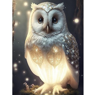 Starnearby DIY Diamond Painting Erwachsene Owl Leuchtend im dunkeln Bilder,Diamant Painting Eule Bilder für Malen Nach Zahlen Hausgeschenk Deko für Familie 30 * 40 CM(G)