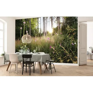 KOMAR Summer 350 x 250 cm