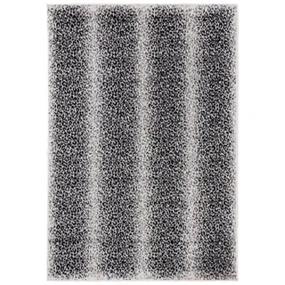 Mazovia Designteppich Modern Leopard Schwarz Anthrazit Wohnzimmer, Schlafzimmer, Büro, Fußbodenheizung schwarz 120 cm x 170 cm