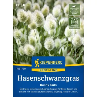 Kiepenkerl Hasenschwanzgrassamen Bunny Tails" Lagurus ovatus 60 Pflanzen
