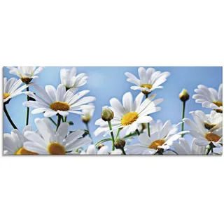 Glasbild ARTLAND "Blumen - Margeriten", weiß (farbe bild(er): weiß), B:125cm H:50cm, Bilder, in verschiedenen Größen