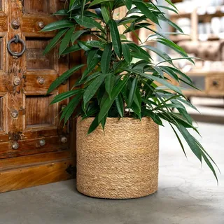Seegras Korb rund natur Ø 35 x 33 mit Einsatz Blumentopf geflochten Aufbewahrungskorb Über-Topf Blumenkorb - Braun