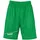 Basketballshorts Kinder grün/weiß 164